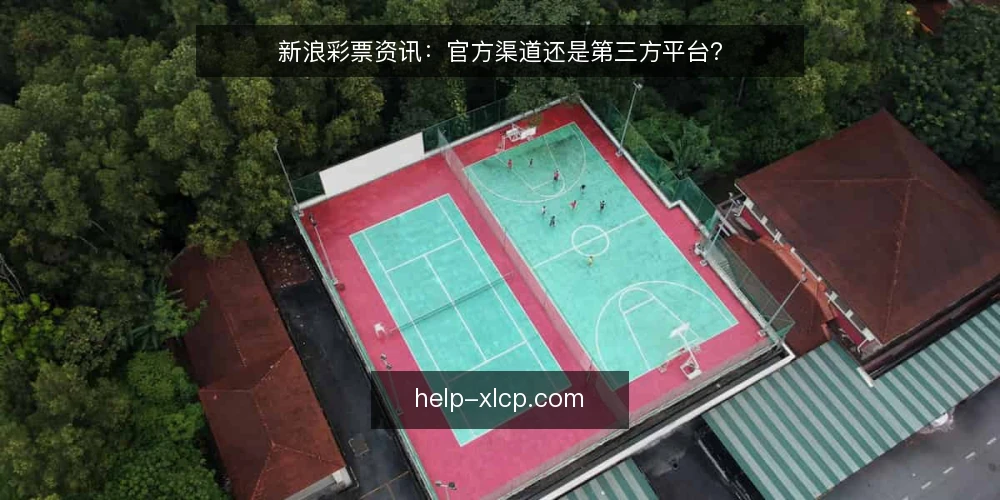 新浪彩票资讯：官方渠道还是第三方平台？ — 选择资讯来源的核心考量 配图