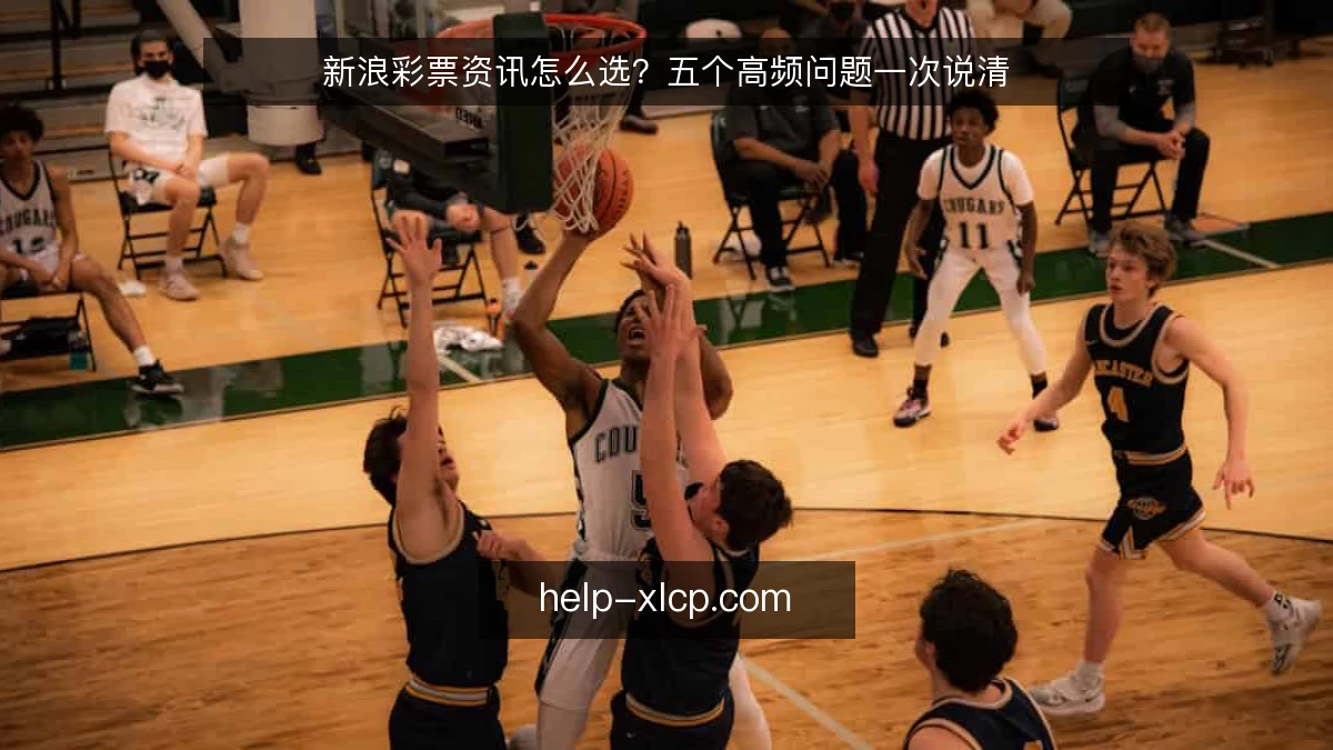 新浪彩票资讯怎么选？五个高频问题一次说清