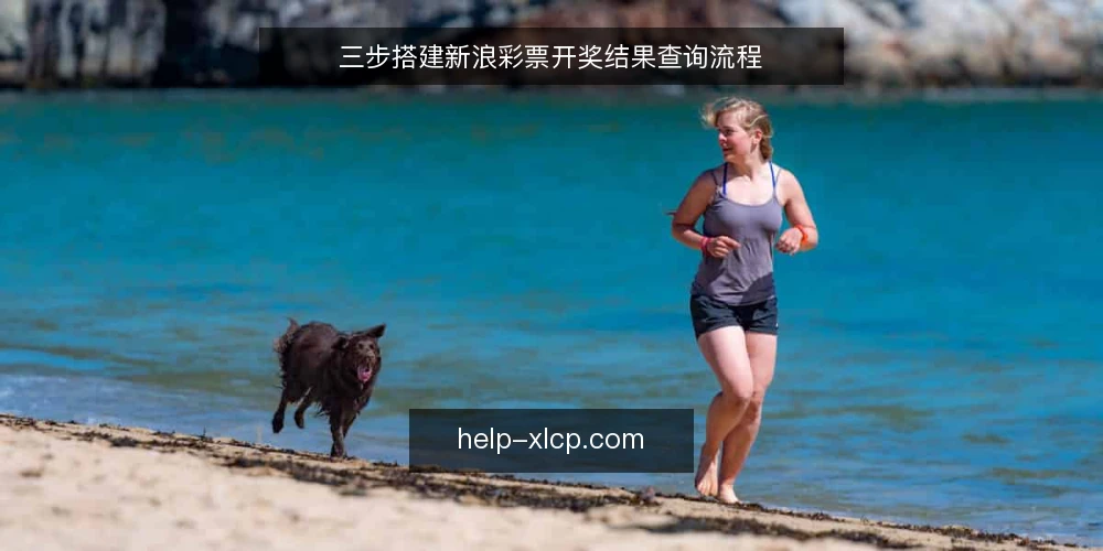 三步搭建新浪彩票开奖结果查询流程 — 准备阶段：明确查询需求与数据源 配图